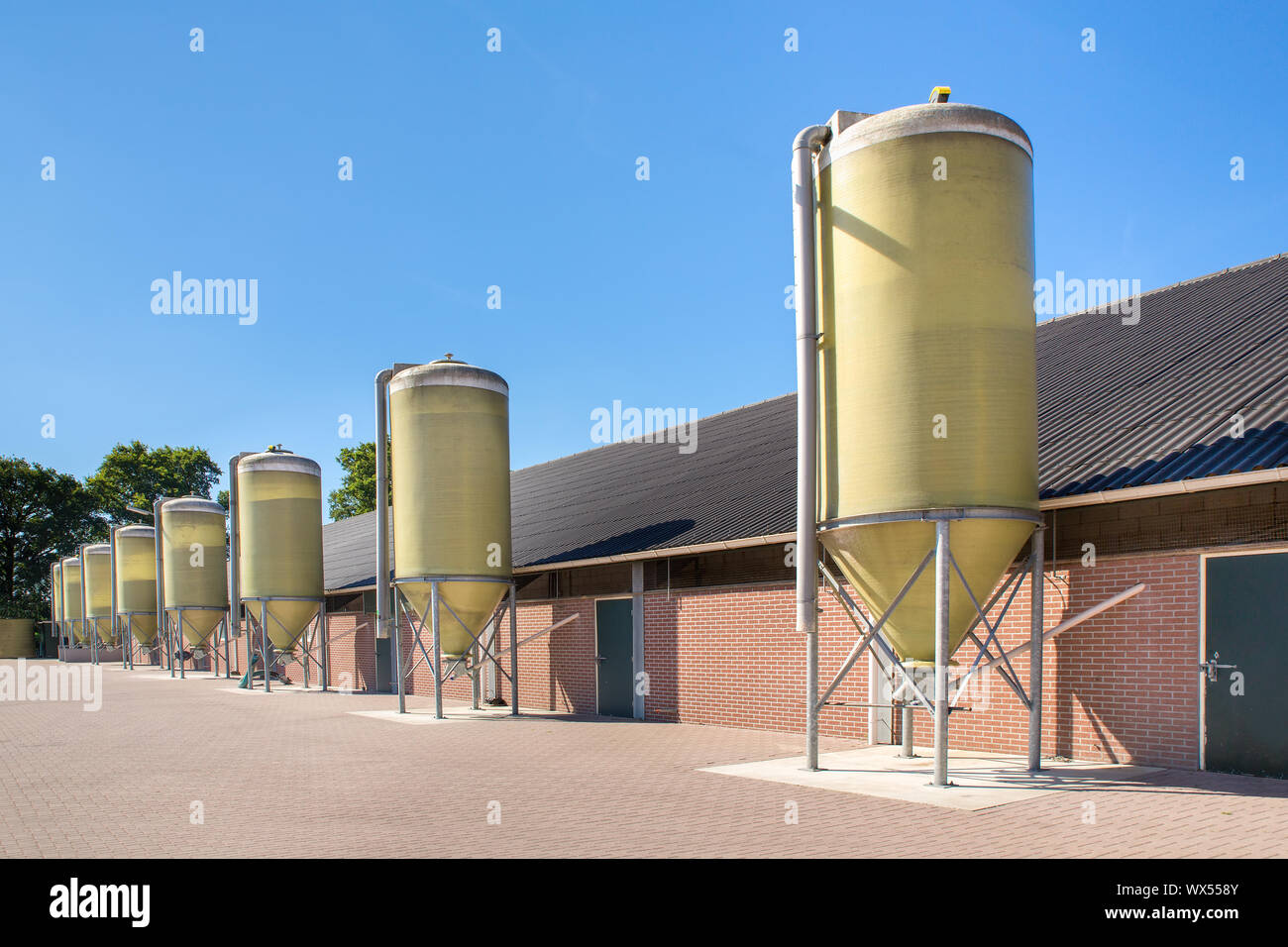 Futtersilos in einer Reihe am Stall Stockfoto