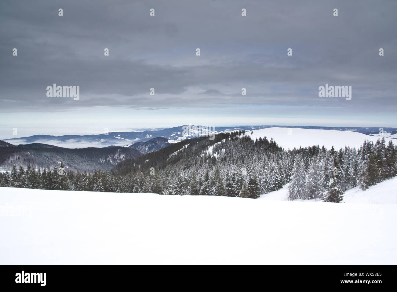Bergpanorama Schwarzwald Stockfoto