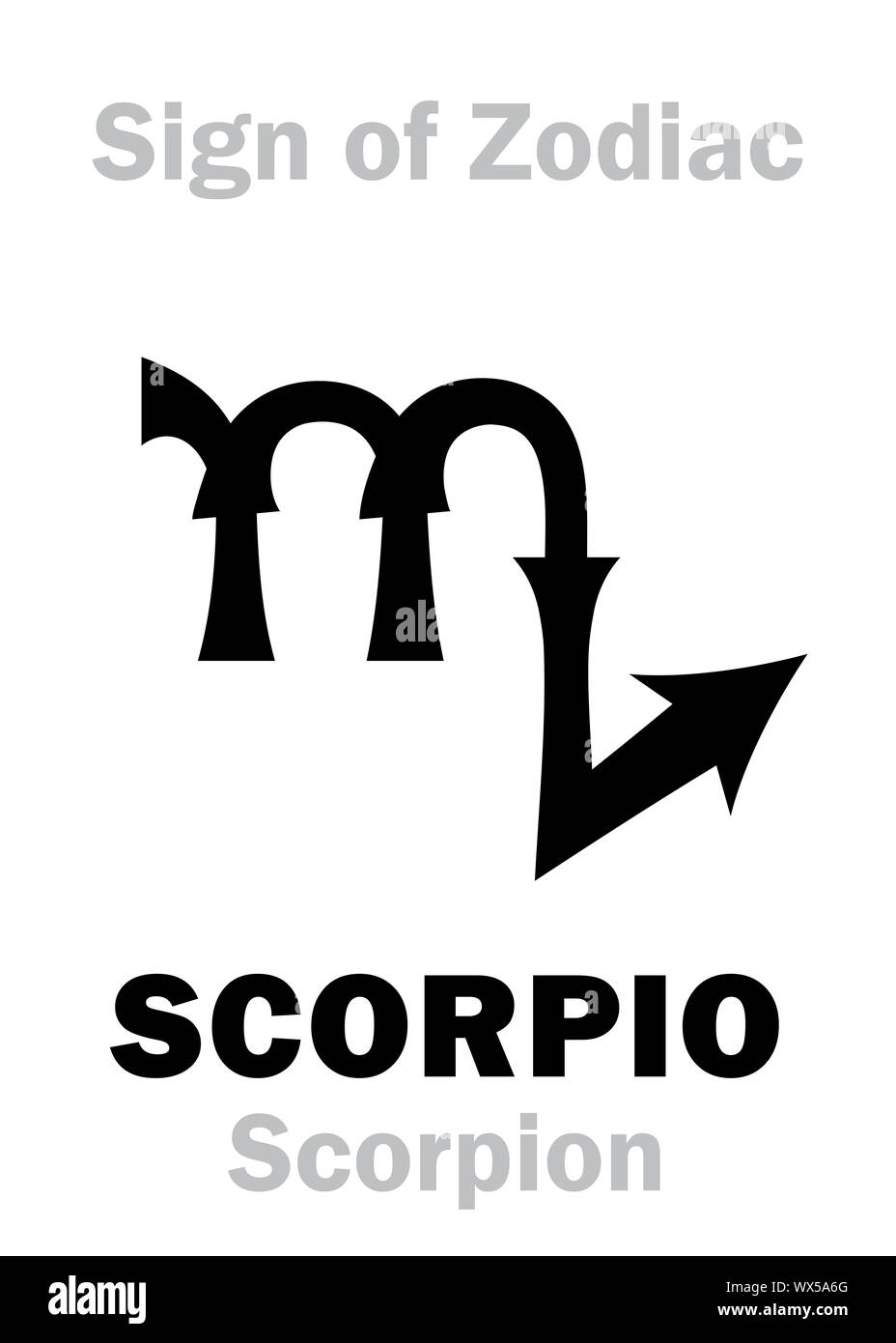 : Sternzeichen Sternzeichen Skorpion (Skorpion) Stockfoto