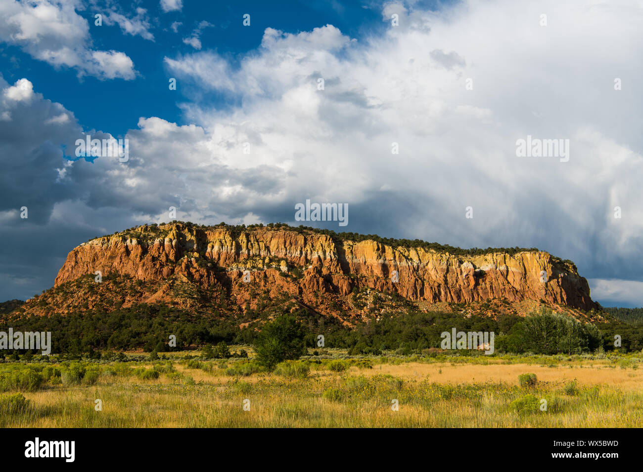 Mesa mit roten Felsen Sandstein Klippen über einer Wiese Wiese unter einem dramatischen stürmischen Himmel im Norden von New Mexico Stockfoto