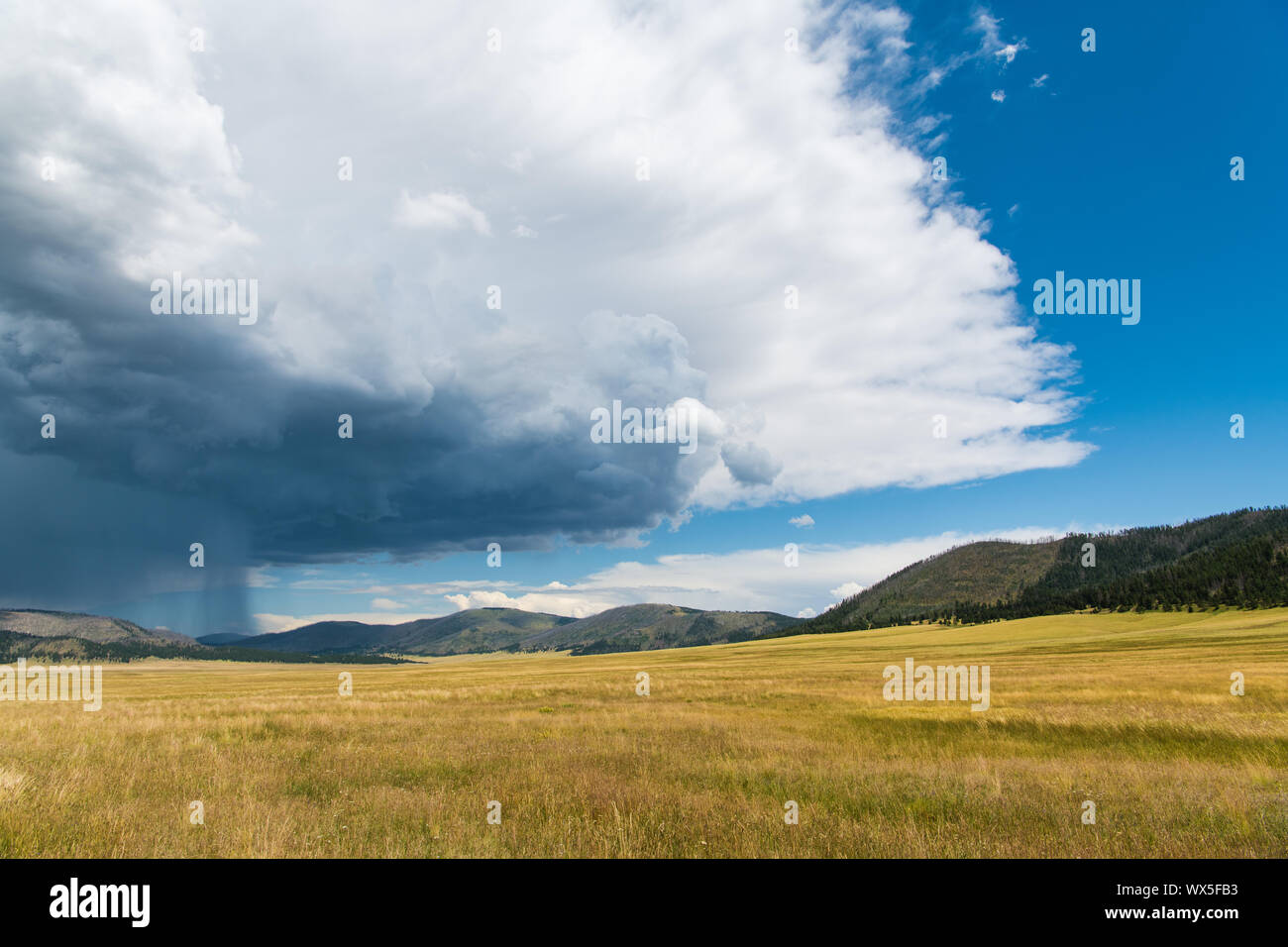 Dramatische Sturm Wolke und Regen über die weite Landschaft und Grasland der Valles Caldera National Preserve im Norden von New Mexico Stockfoto