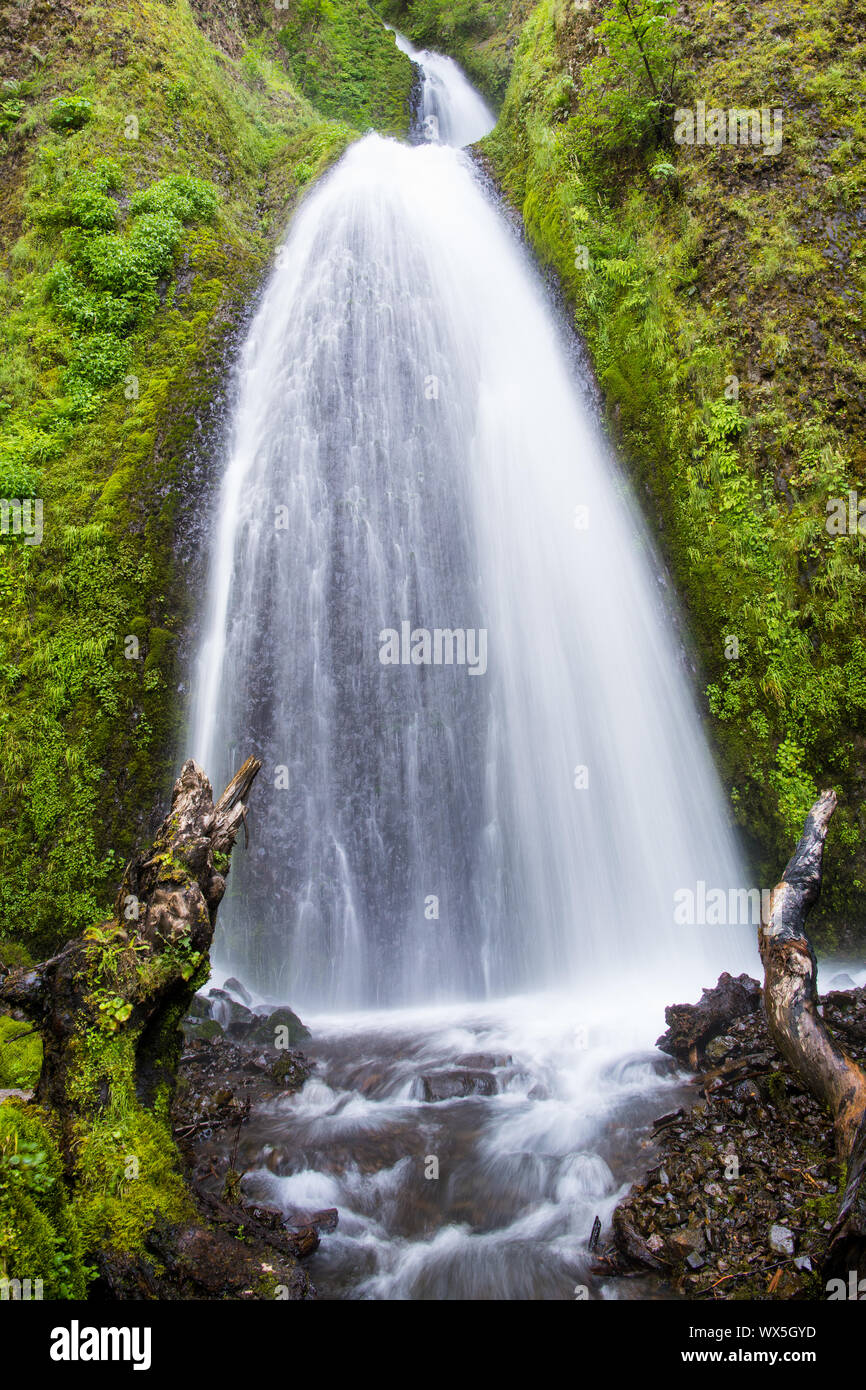 Wasserfall die fließende Moos bedeckt Klippen - Wahkeena fällt in Oregon Columbia River Gorge Stockfoto