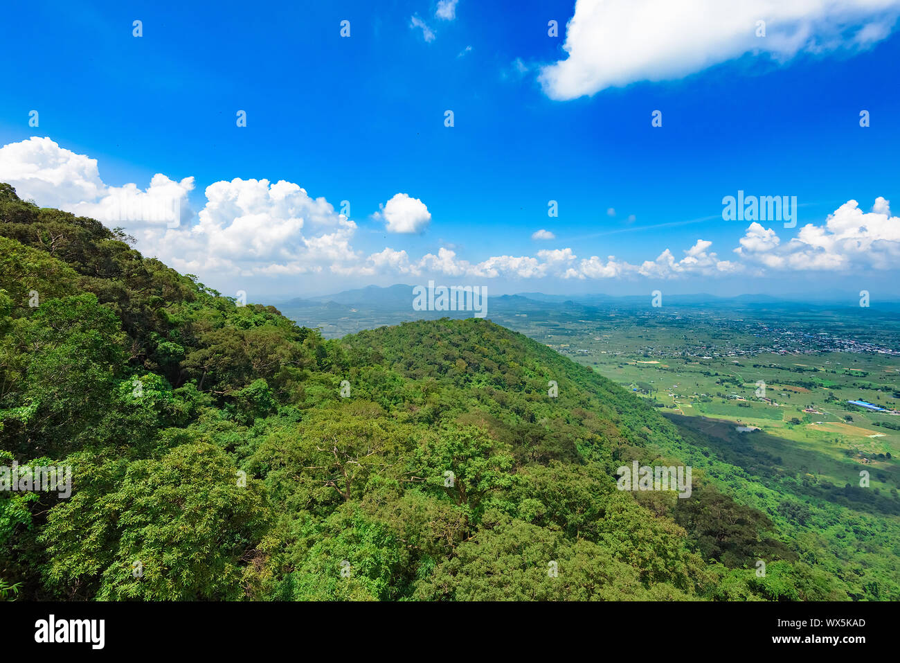 Dschungel, Ansicht von oben Stockfoto