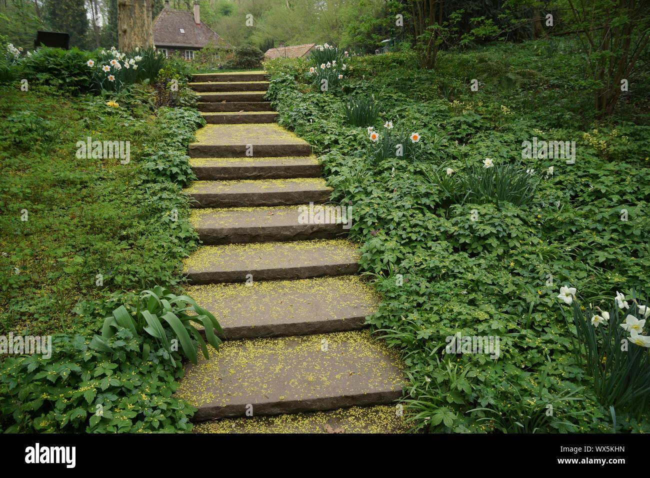 Treppen in botanischen in Park Stockfoto