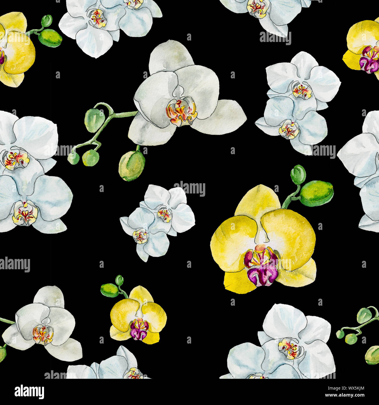 Aquarell Muster mit Blumen und Orchideen Knospen. Stockfoto