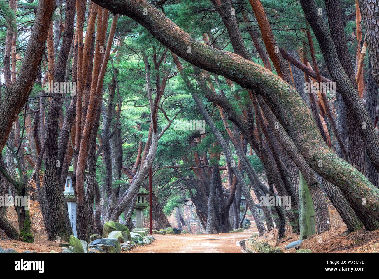 Mupunghansong-gil an tongdo Tempel Stockfoto