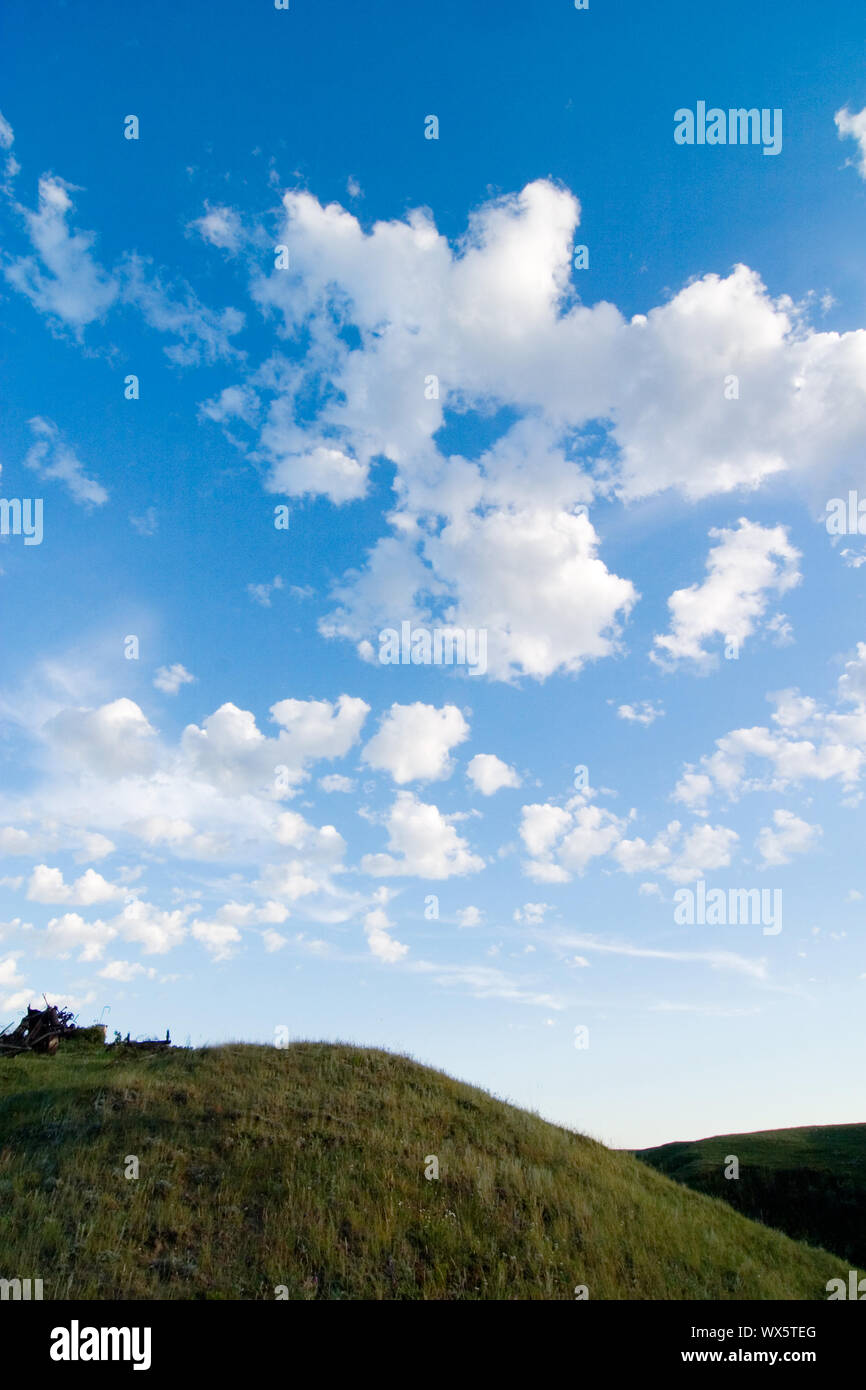 Einer wiese landschaft mit grossen Himmel. Stockfoto