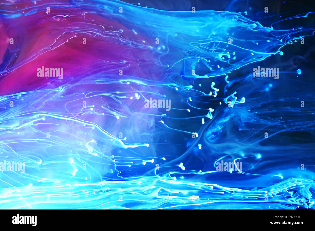 Blau und lila Farben und Tinten zusammen wirbelnden in Wasser abstrakt Hintergrund Stockfoto