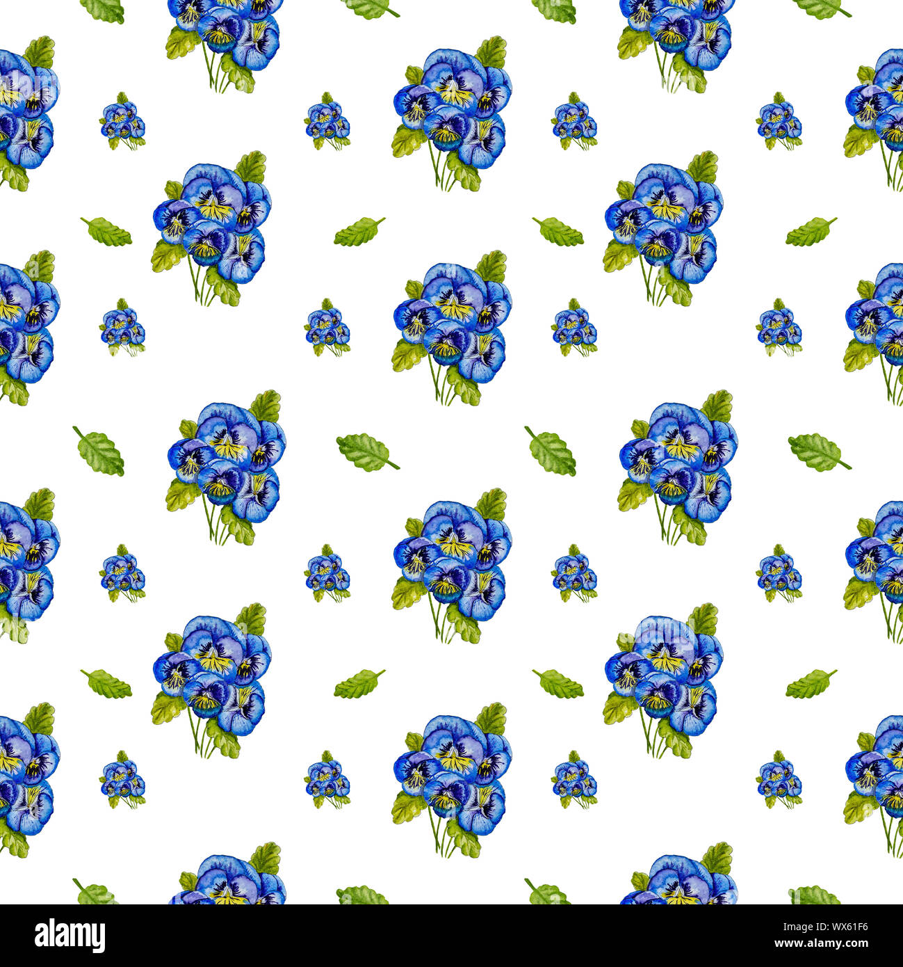 Blumensträuße der blauen Stiefmütterchen und grünen Blättern. Stockfoto