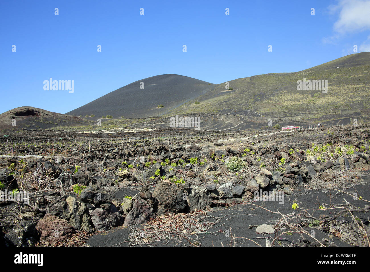 Wein Landschaft Las Machuqueras mit Cadenas genannt Trockenmauern gegen Winde zu schützen. Stockfoto