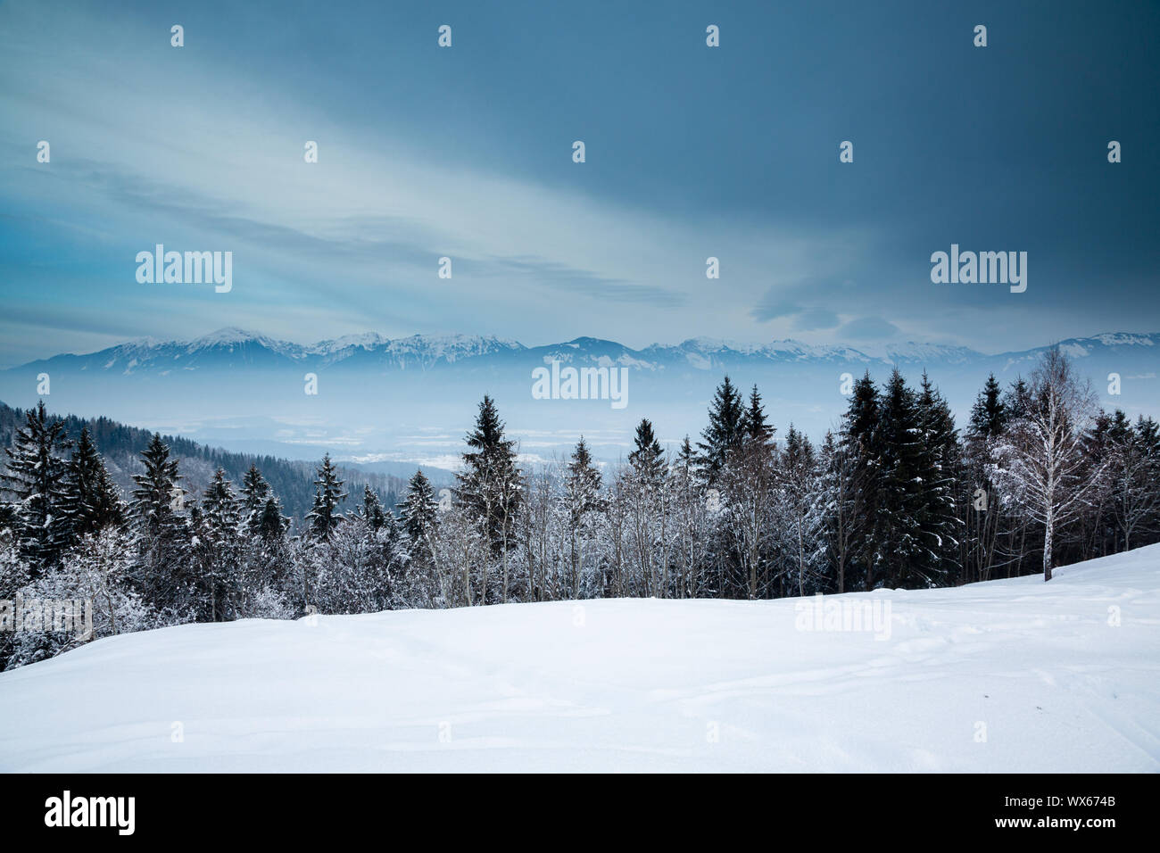 Blick auf die Alpen vom Karavank Jamnik Hügel auf der Jelovica Plateau in Slowenien. Stockfoto