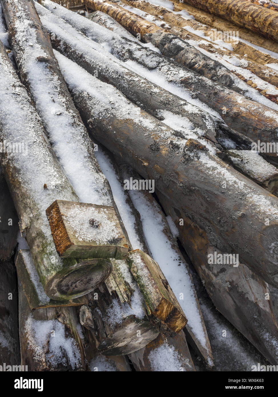 Holz- Stapel bedeckt mit Eis und Schnee Stockfoto