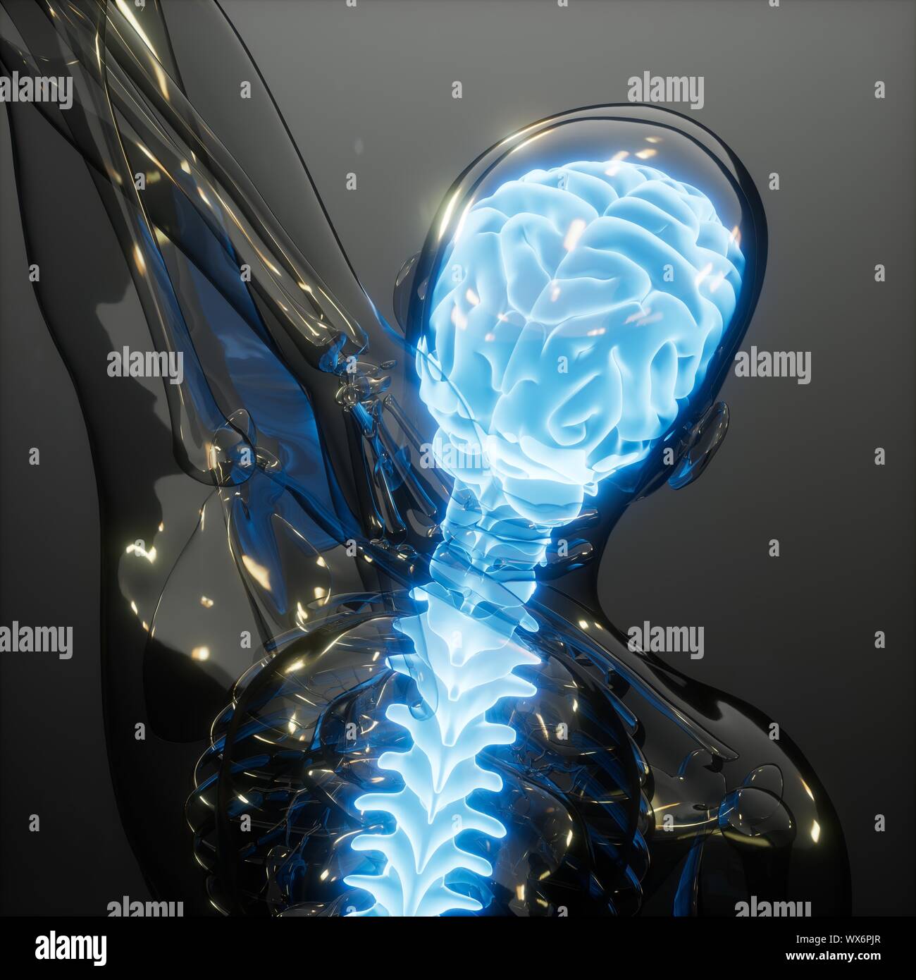 Menschliche Gehirn Radiologie Prüfung Stockfoto