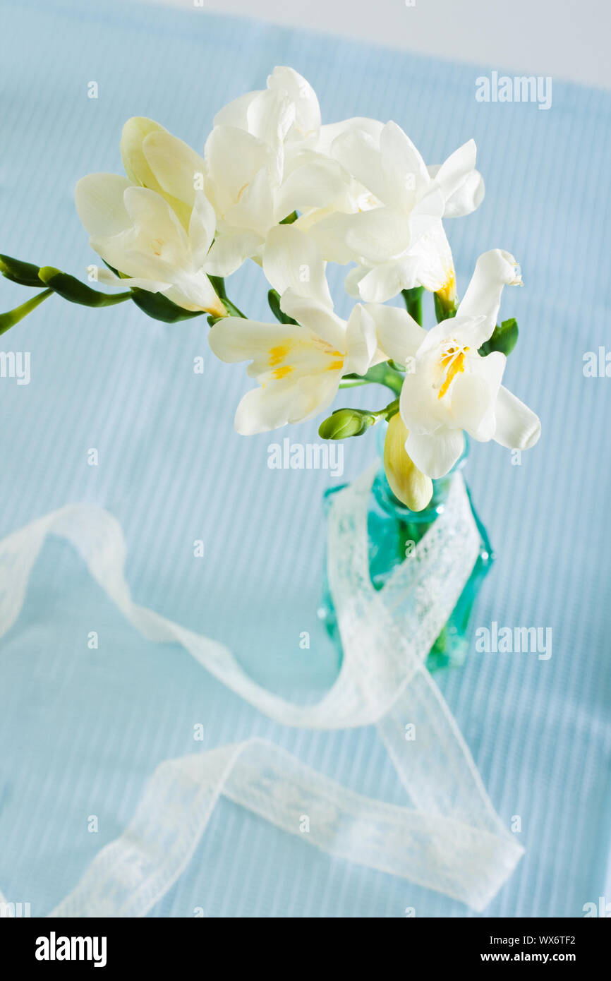 Freesia Blumen Stockfoto