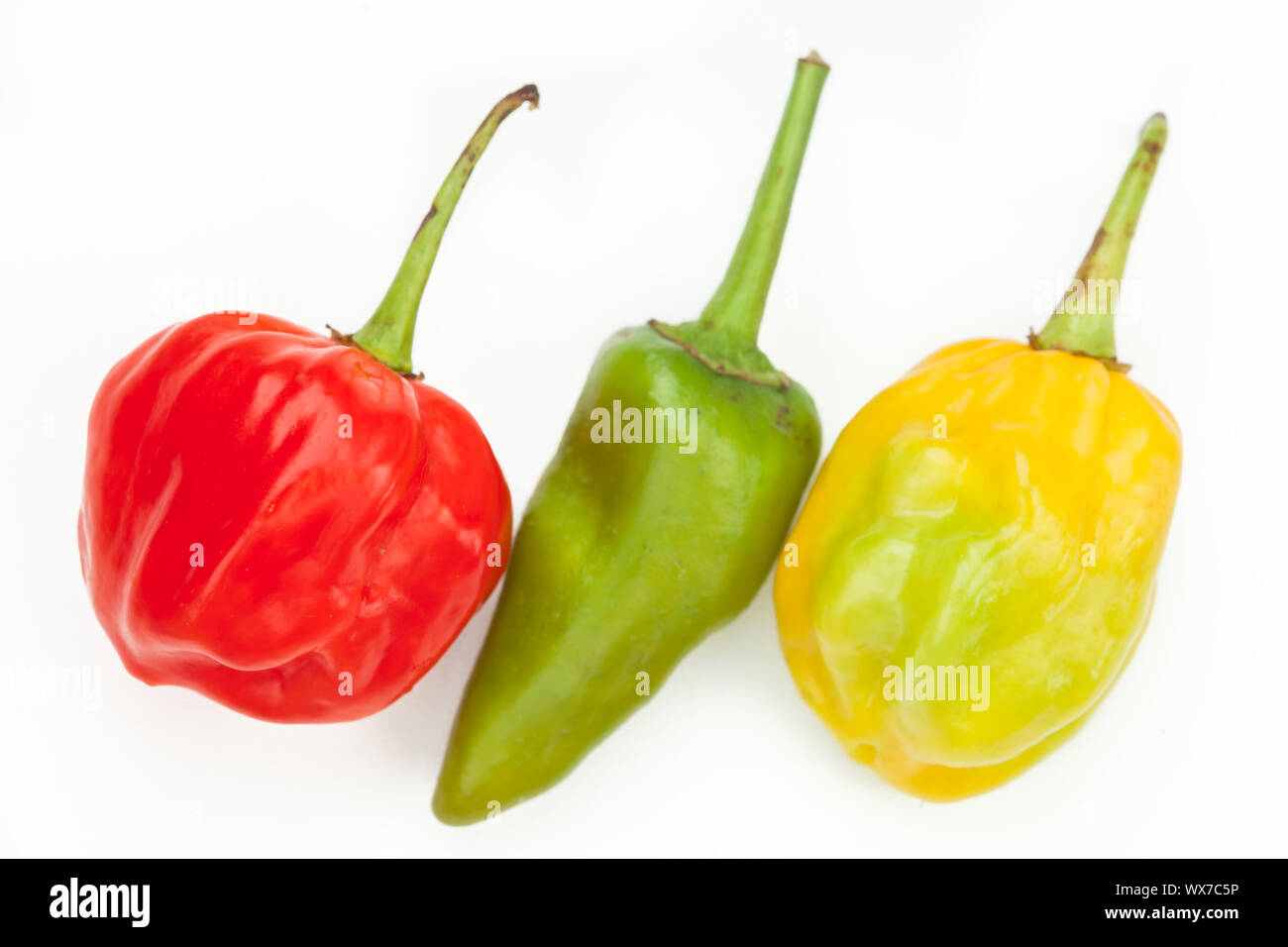 Scotch Bonnet jalapeno, Habanero Chili peppers in einer Reihe Stockfoto