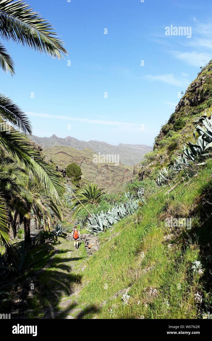 Schönen Wanderweg auf La Gomera Stockfoto