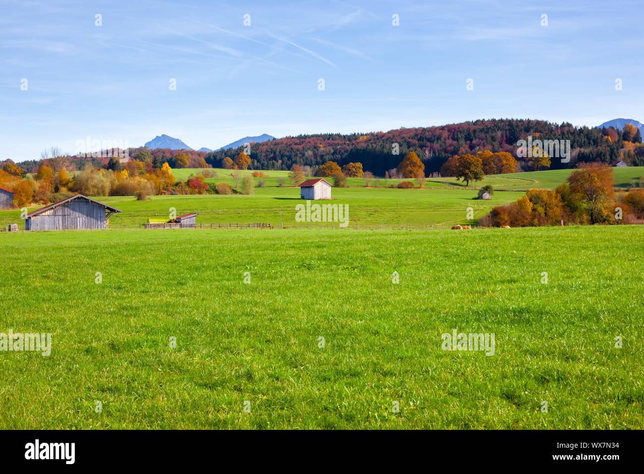 Herbst Landschaft bei Murnau Bayern Deutschland Stockfoto