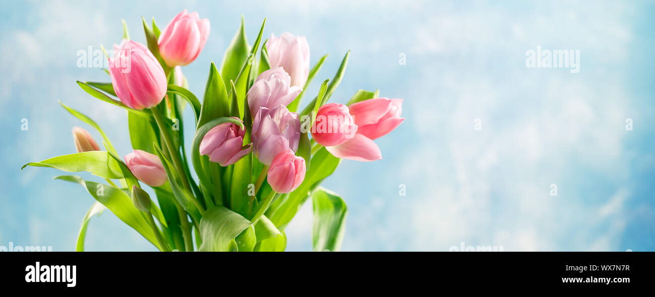 Bouquet von rosa Tulpen Stockfoto