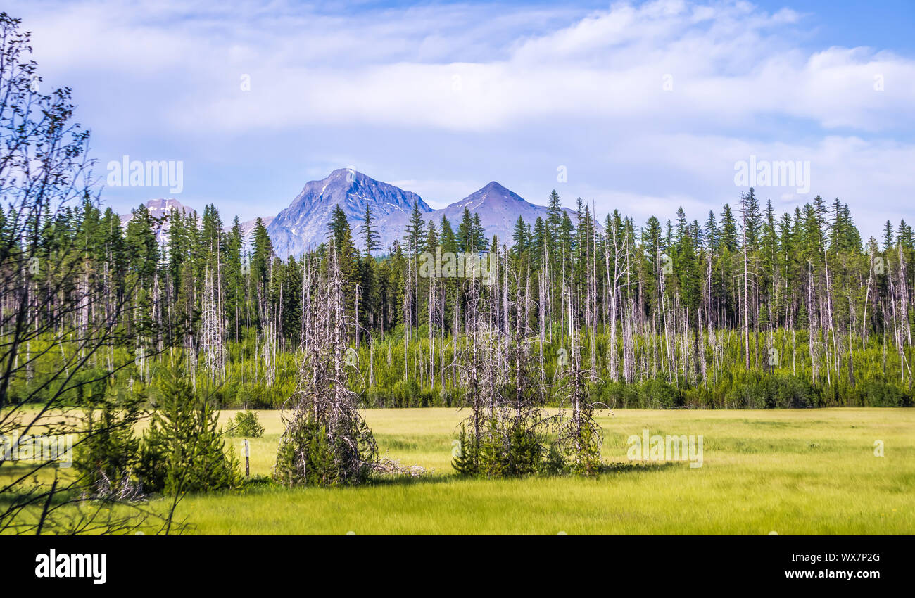 Lake McDonald Glacier Nationalpark Stockfoto