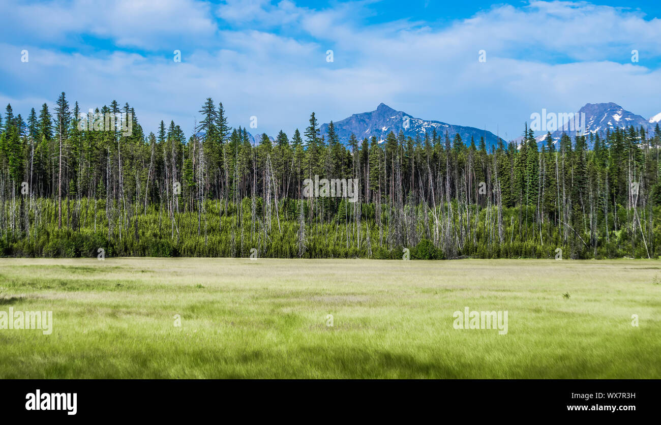 Lake McDonald Glacier Nationalpark Stockfoto