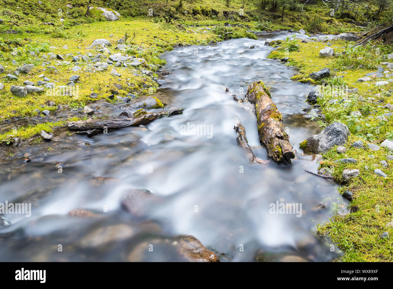 Streams im Tal Stockfoto