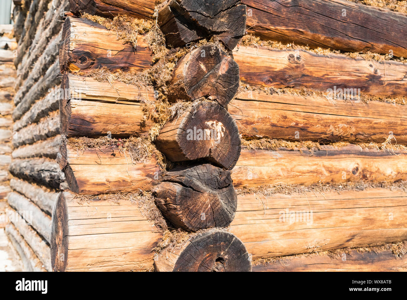 Log House closeup Stockfoto