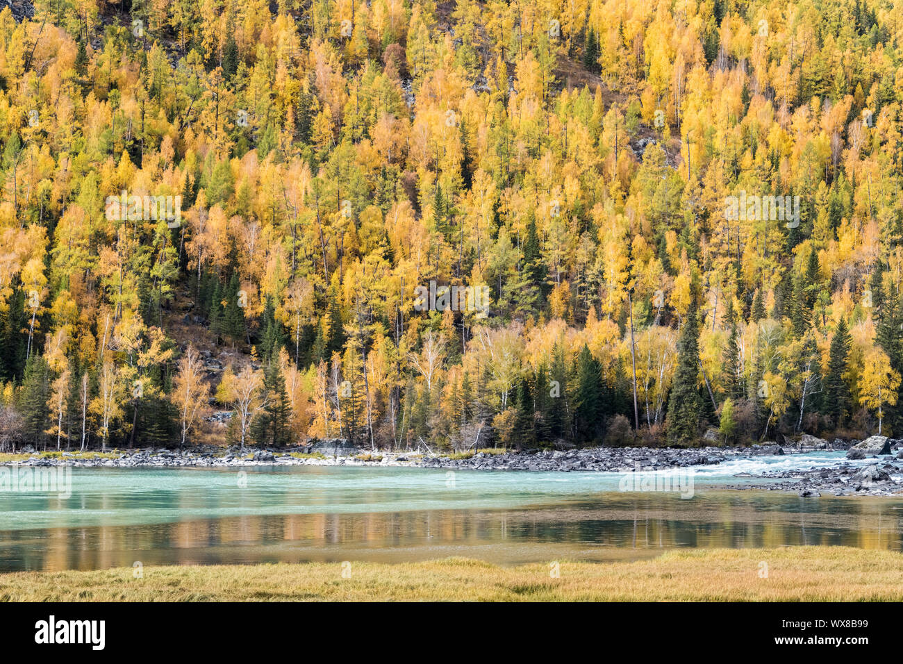 Herbst Berg Holz in kanas Stockfoto