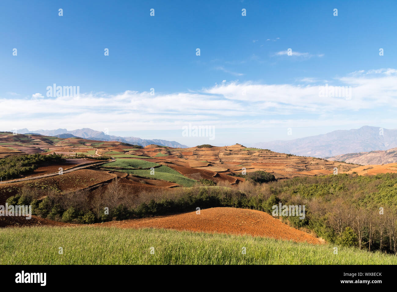Yunnan red Land Stockfoto