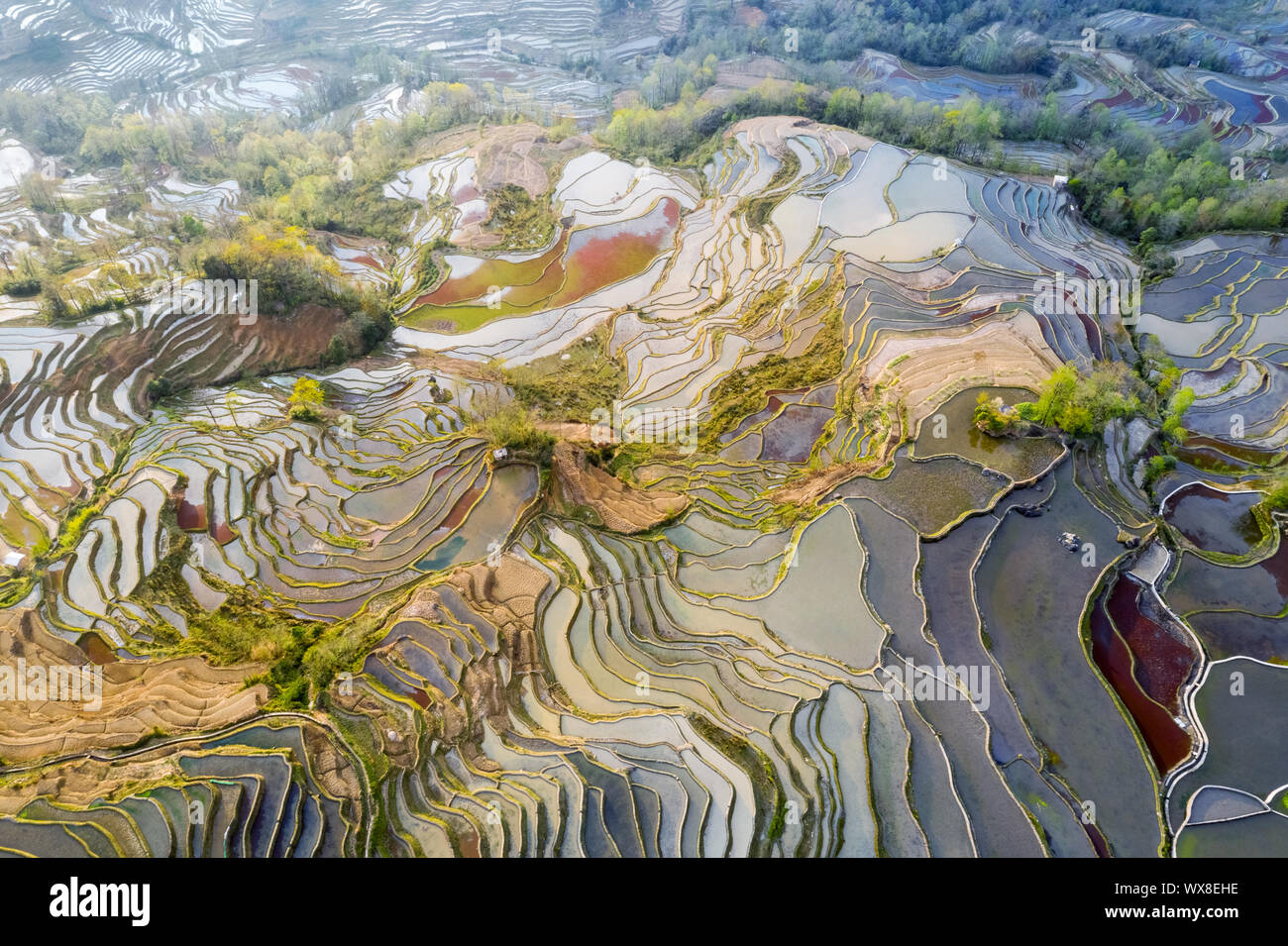 Schöne yuanyang terrassierten Feldern Landschaft Stockfoto