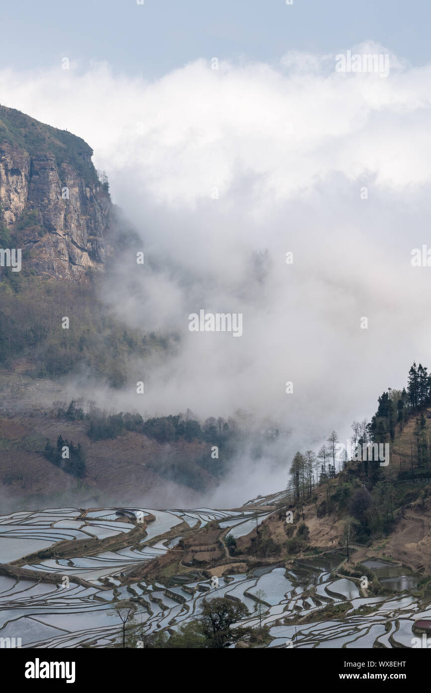 Yunnan terrassierten Bereich Landschaft Stockfoto