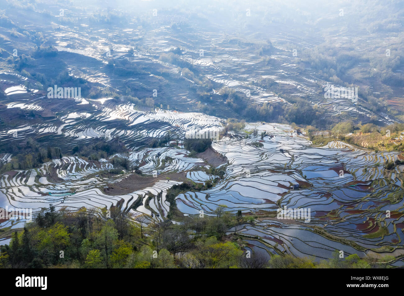 Yuanyang terrassierten Feldern Landschaft Stockfoto