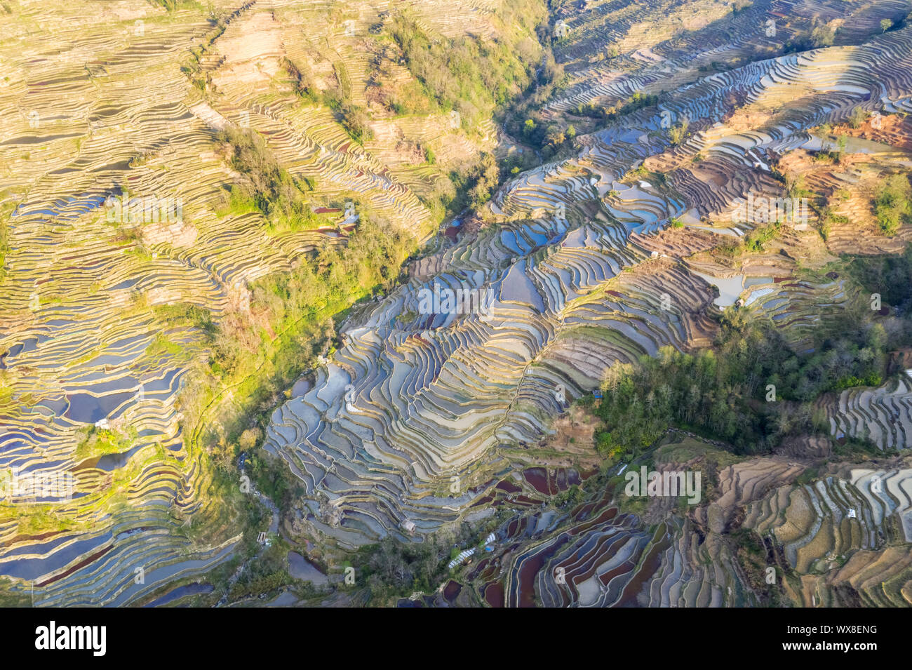 Luftaufnahme von terrassierten Feldern in der Dämmerung Stockfoto