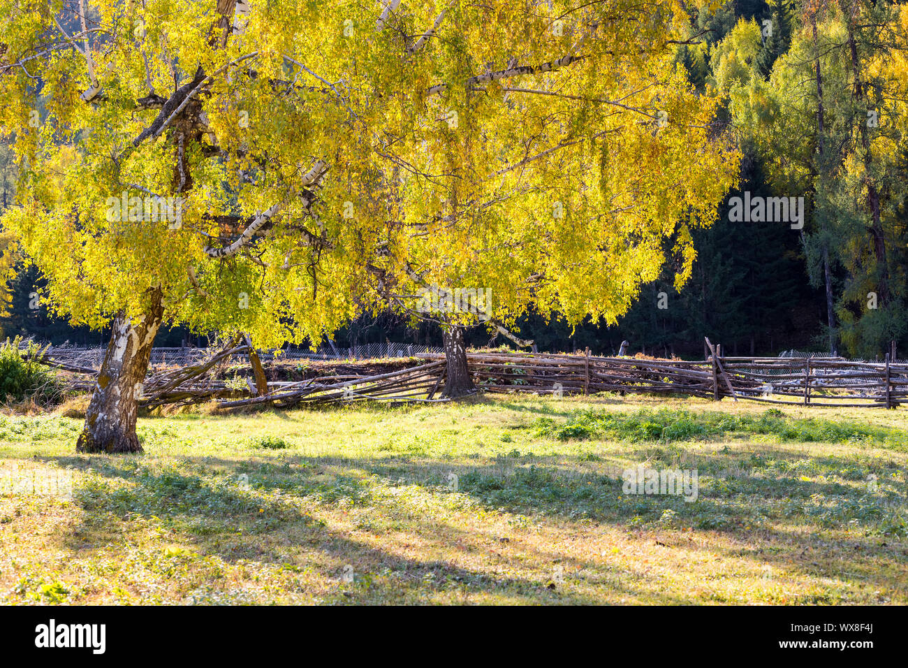 Xinjiang baihaba Dörfer im Herbst Stockfoto