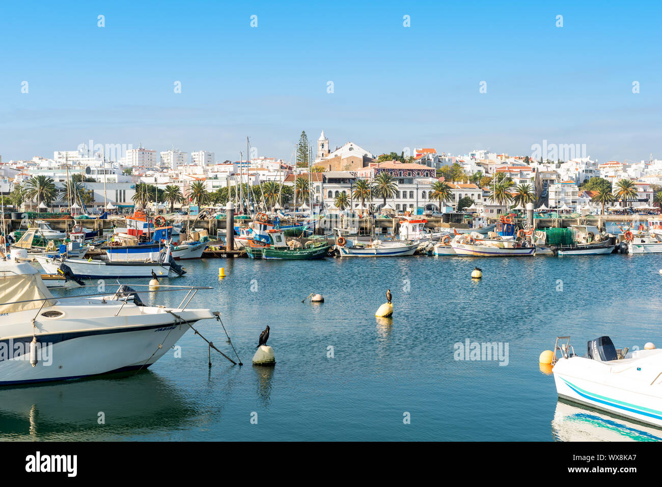 Den Hafen und die Stadt Lagos in der Algarve Stockfoto
