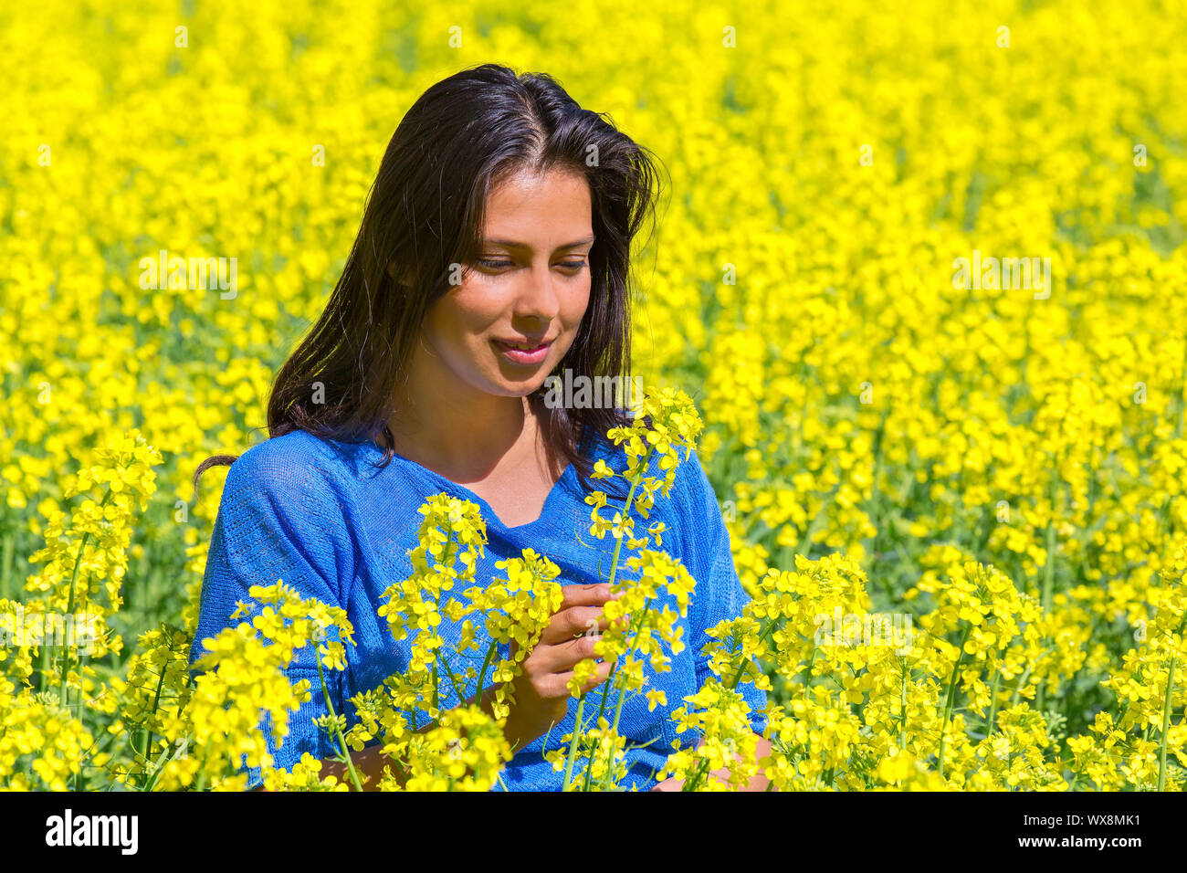 Frau sieht Blume in gelber Raps Feld Stockfoto