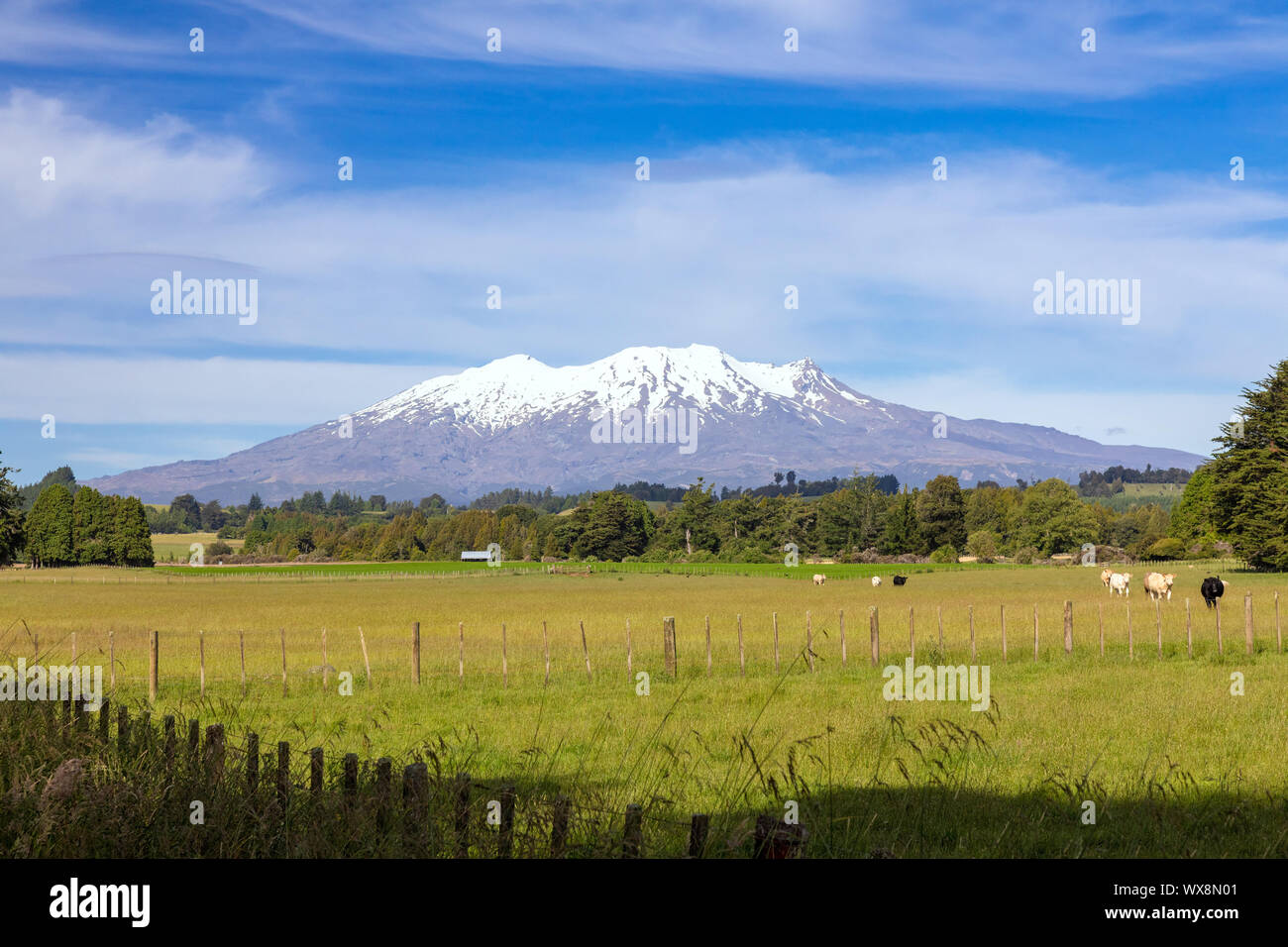 Mount Ruapehu Vulkanausbruch in Neuseeland Stockfoto