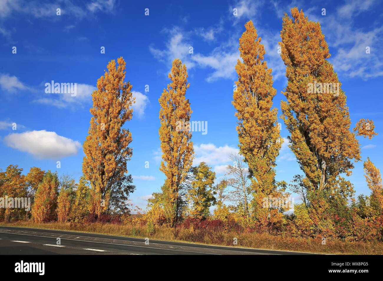 Volkach ist ein Weinbaugebiet in Bayern Stockfoto