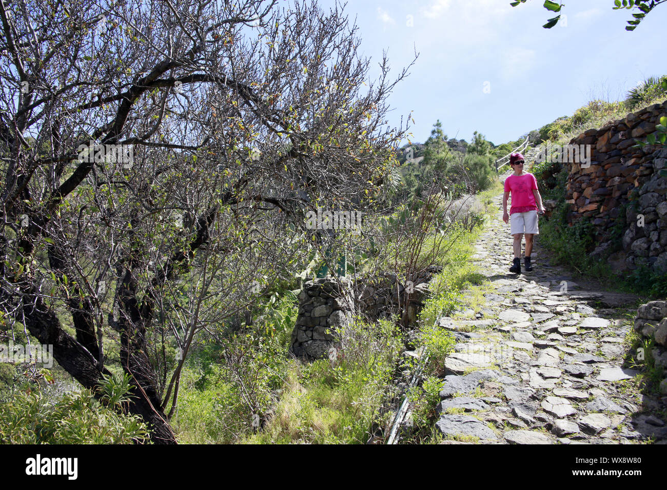Wanderung bei Las Tricias Stockfoto
