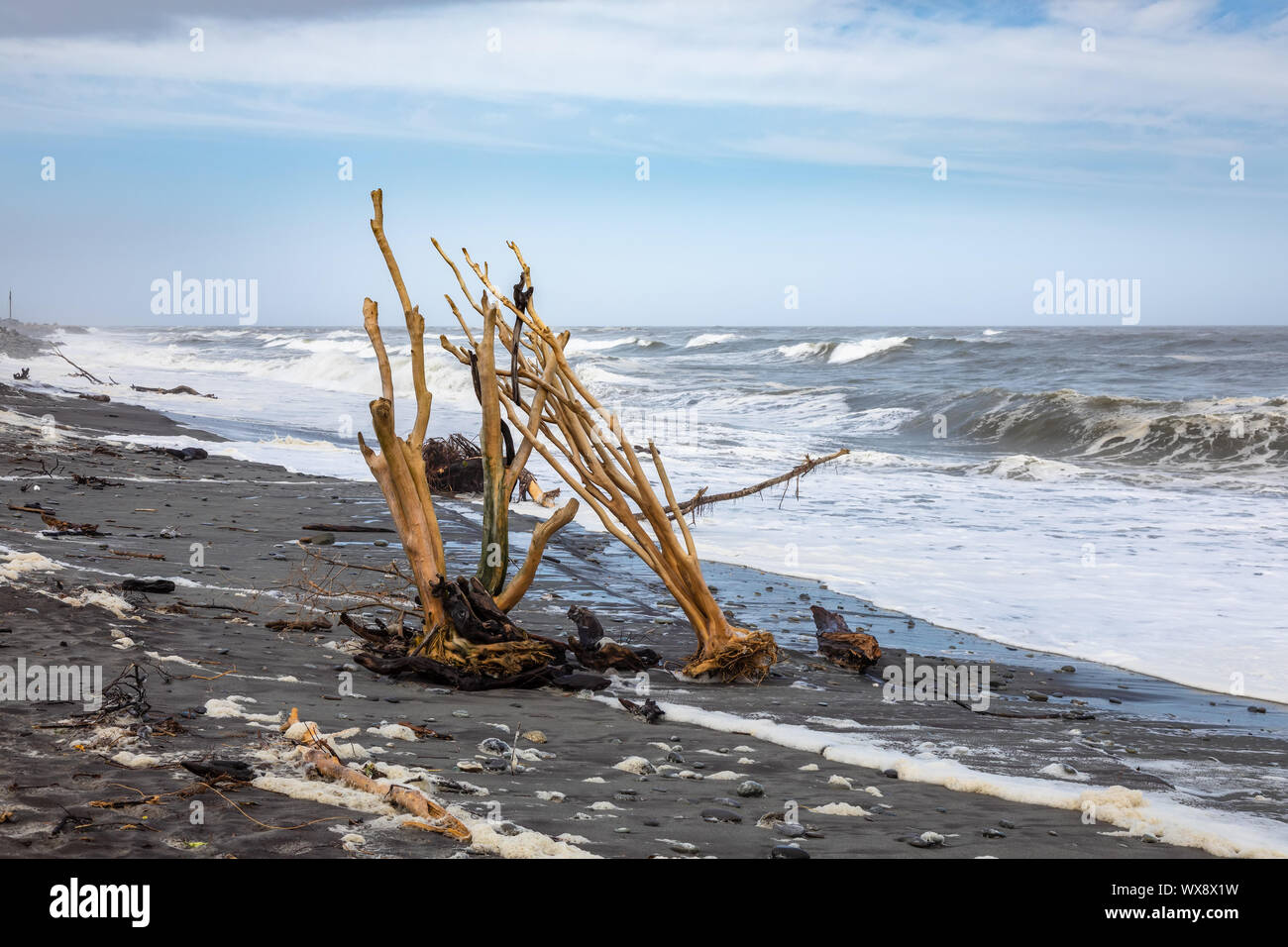 Jade Strand Hokitika, Neuseeland Stockfoto