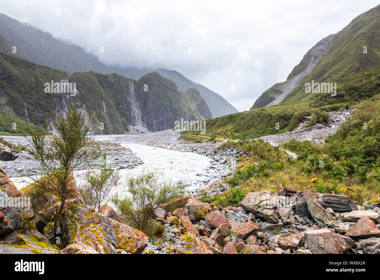 Flussbett des Franz Josef Glacier, Neuseeland Stockfoto