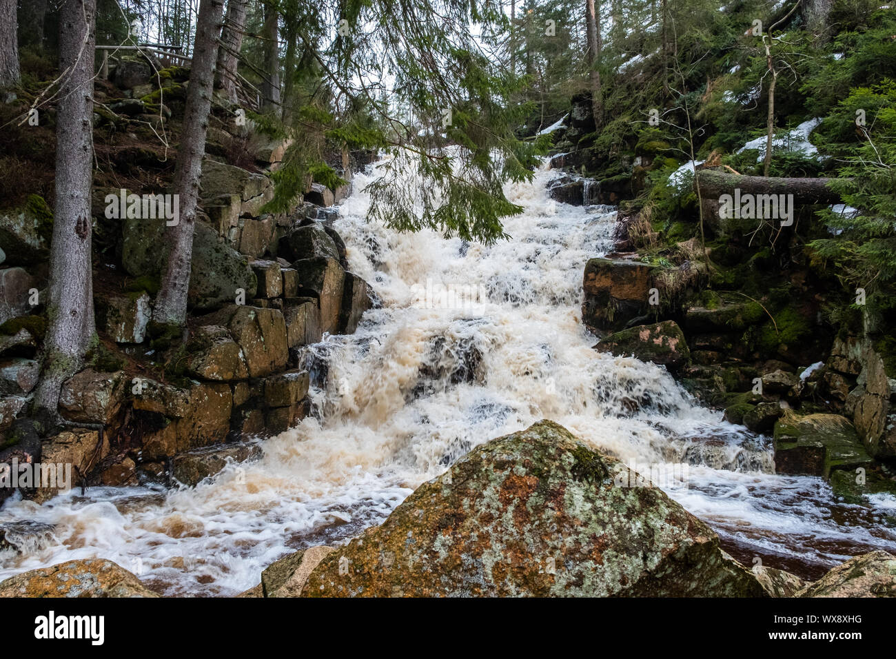 Wasserfall Oderteich Nationalpark Harz Stockfoto