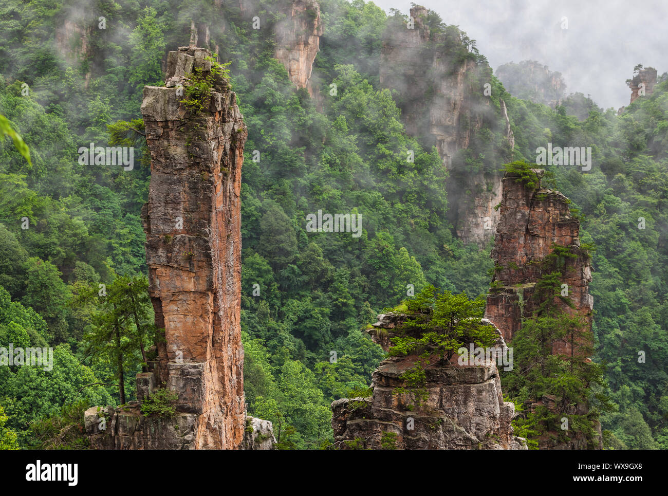 Tianzi Avatar Berge Natur Park - Landschaftspark Wulingyuan gelegen China Stockfoto