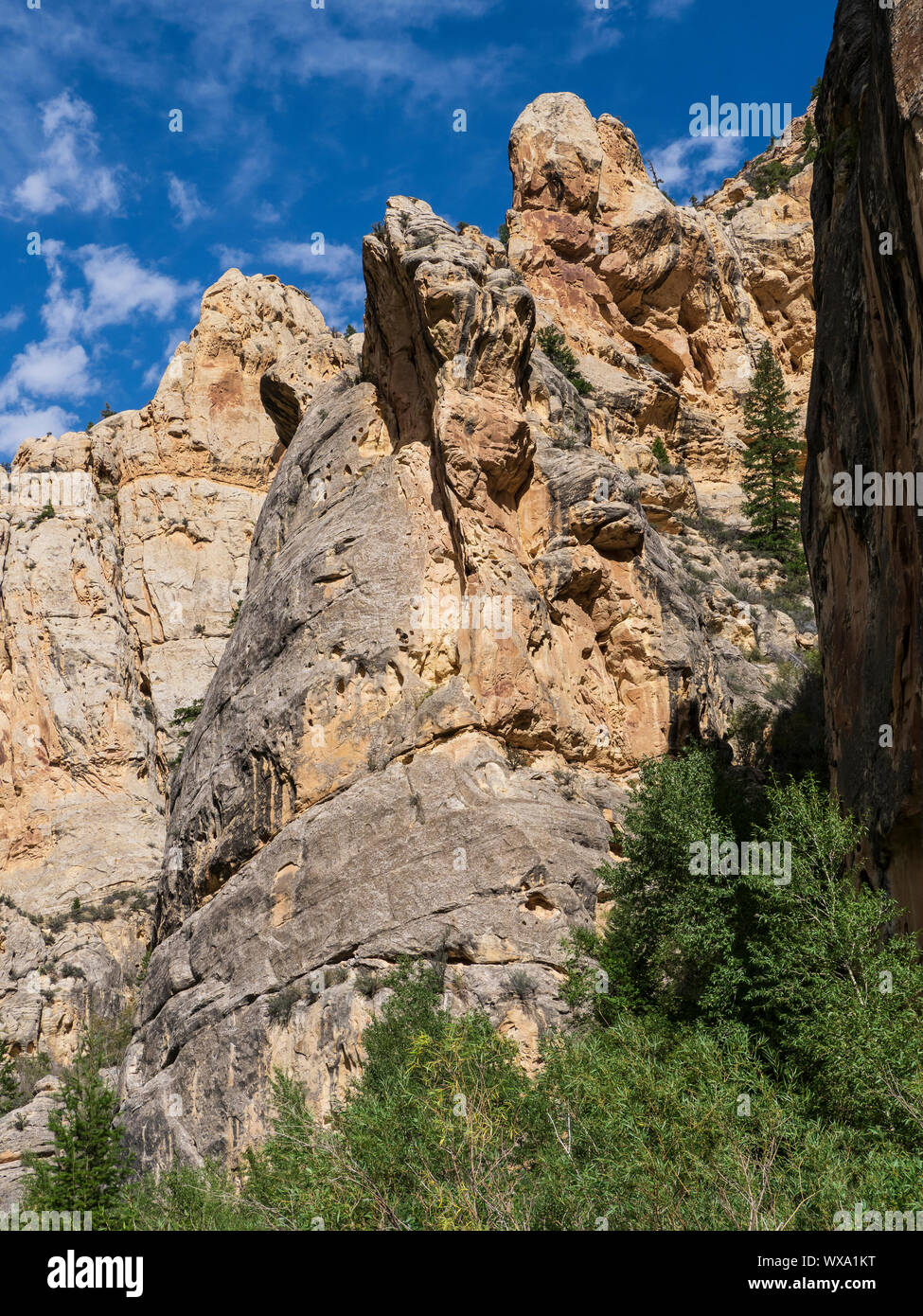 Sheep Creek Canyon geologischen Bereich, National Forest, Utah. Stockfoto