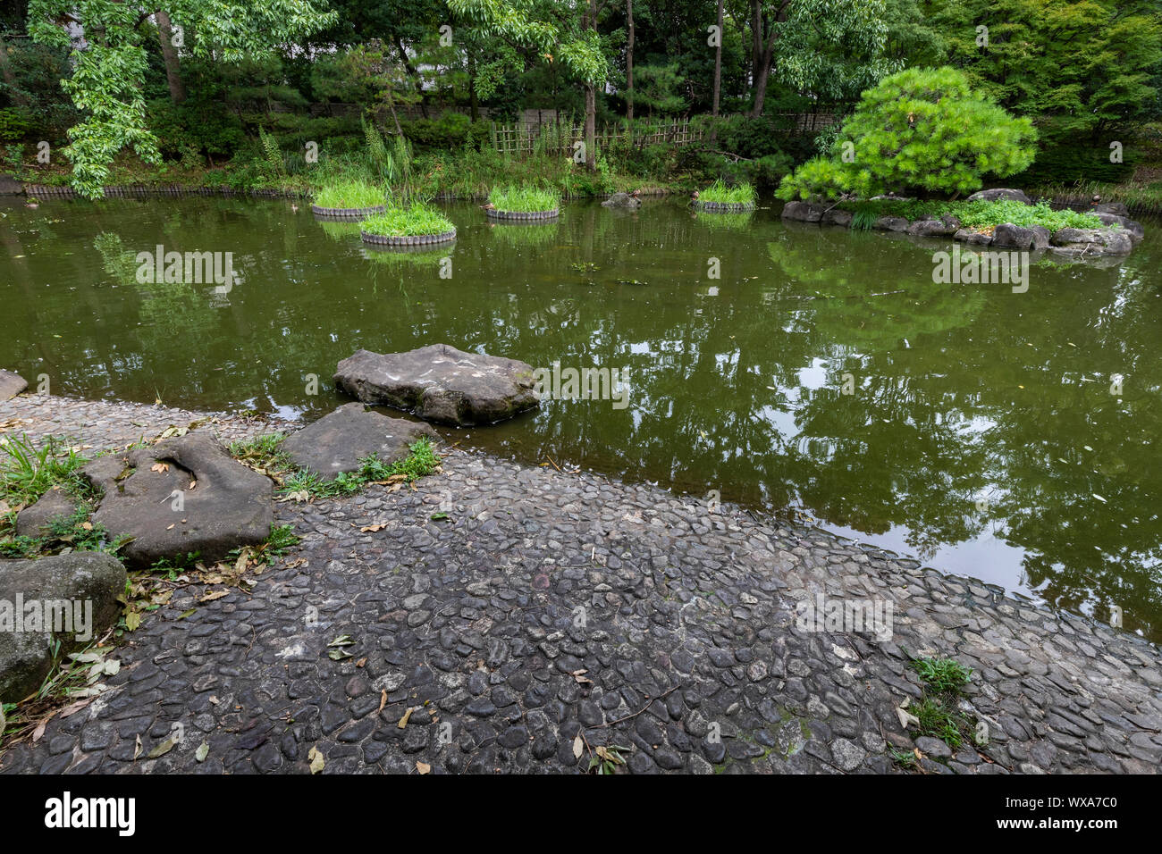 Fuchu-no-Mori Park wurde errichtet auf einem ehemaligen US-Air Base wurde in ein Multi gedreht worden - Zweck Park für die Bürger der Region. Es umfasst wiederhergestellt Stockfoto