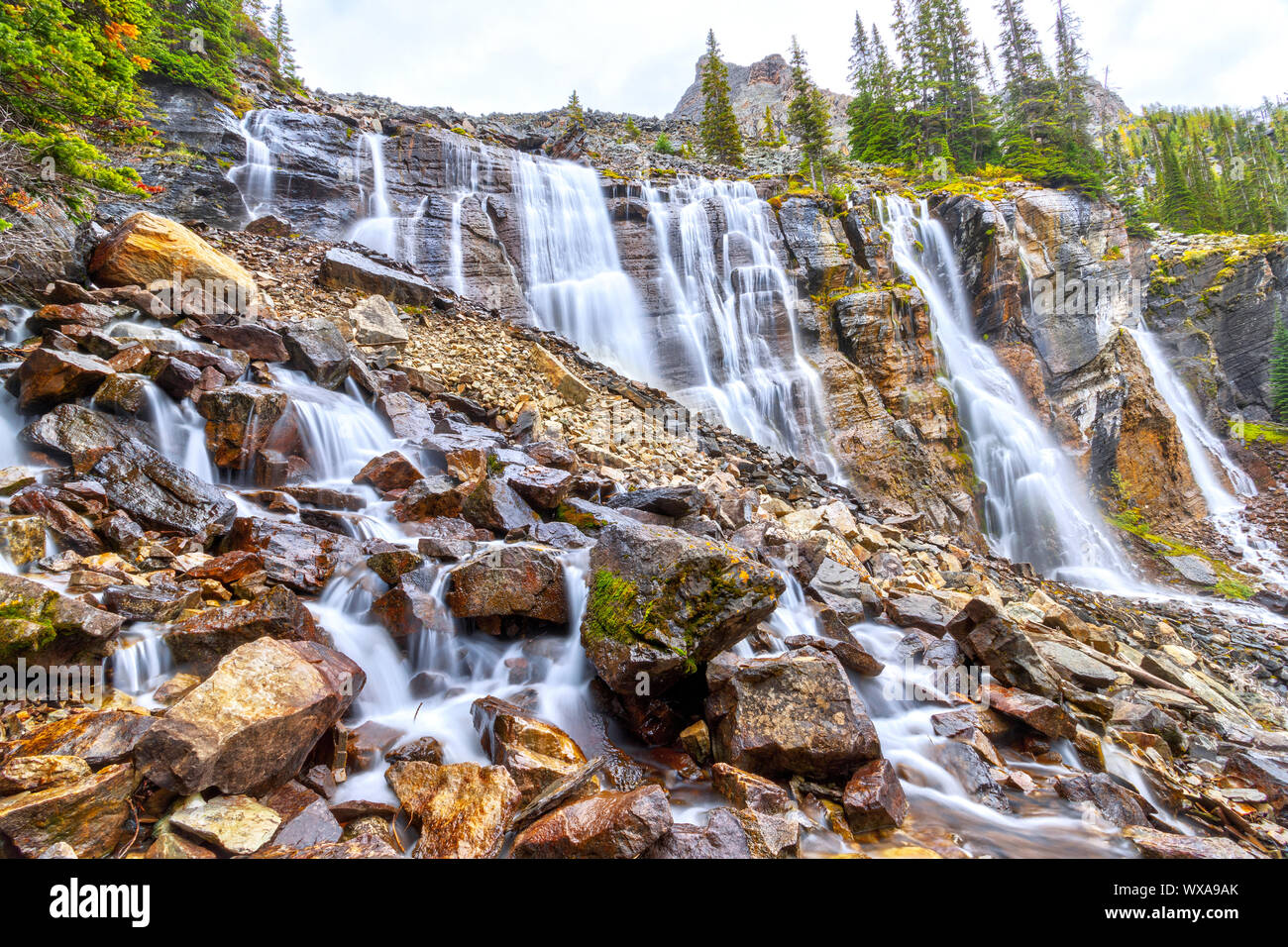 Sieben Schleier fällt auf Shoreline Trail im Alpenraum von Lake O'Hara in den kanadischen Rockies von Yoho National Park, British Columbia, Kanada. Stockfoto