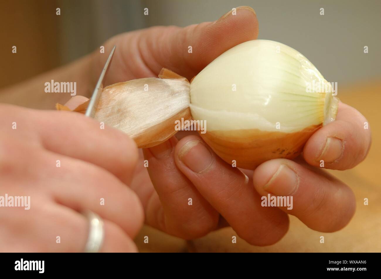 Hausgemachte Heringe Salat mit Hering, Zwiebeln, Apfel, Paprika und Mayonaise Stockfoto