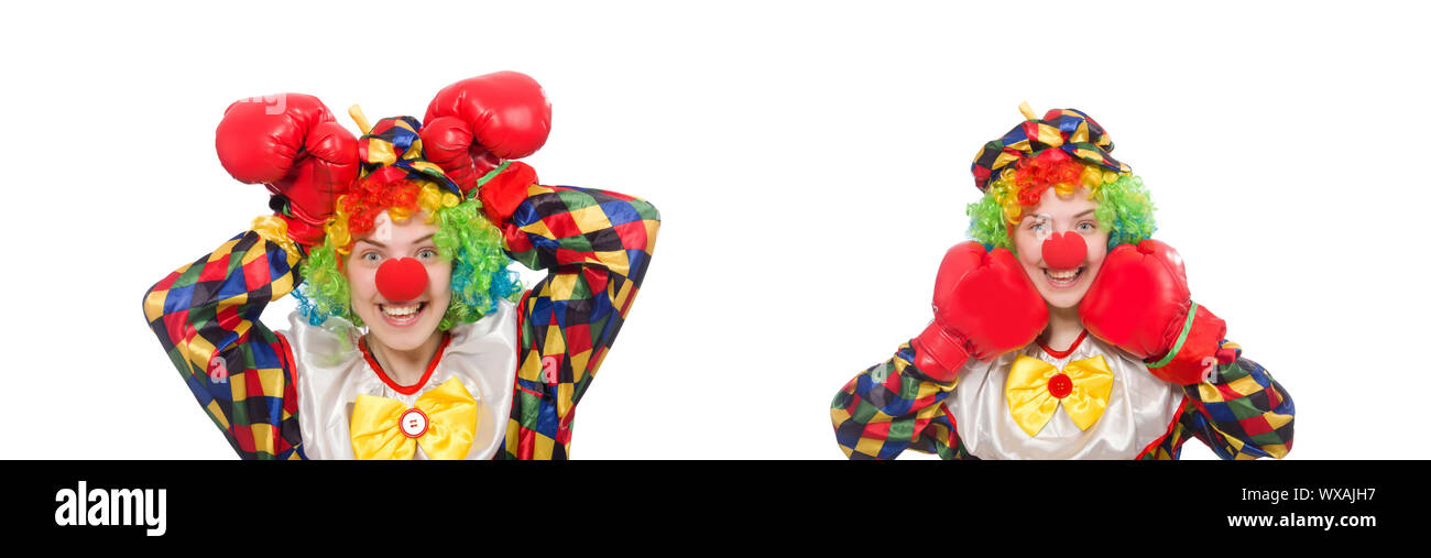 Clown mit Boxhandschuhen isoliert auf weiss Stockfoto