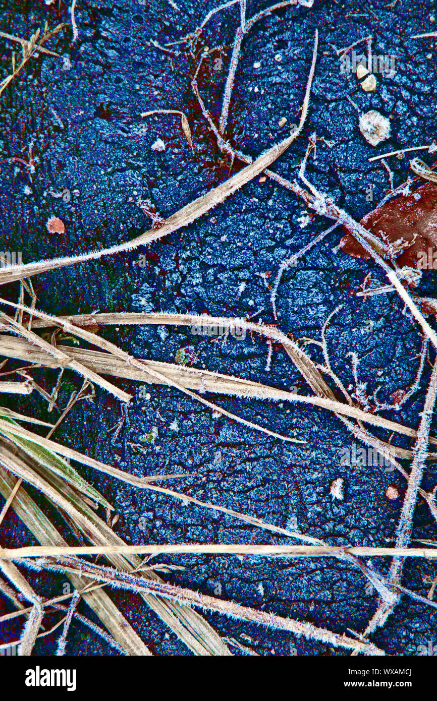 Freeze festen Boden bis Blau und Frosted Gras Stockfoto