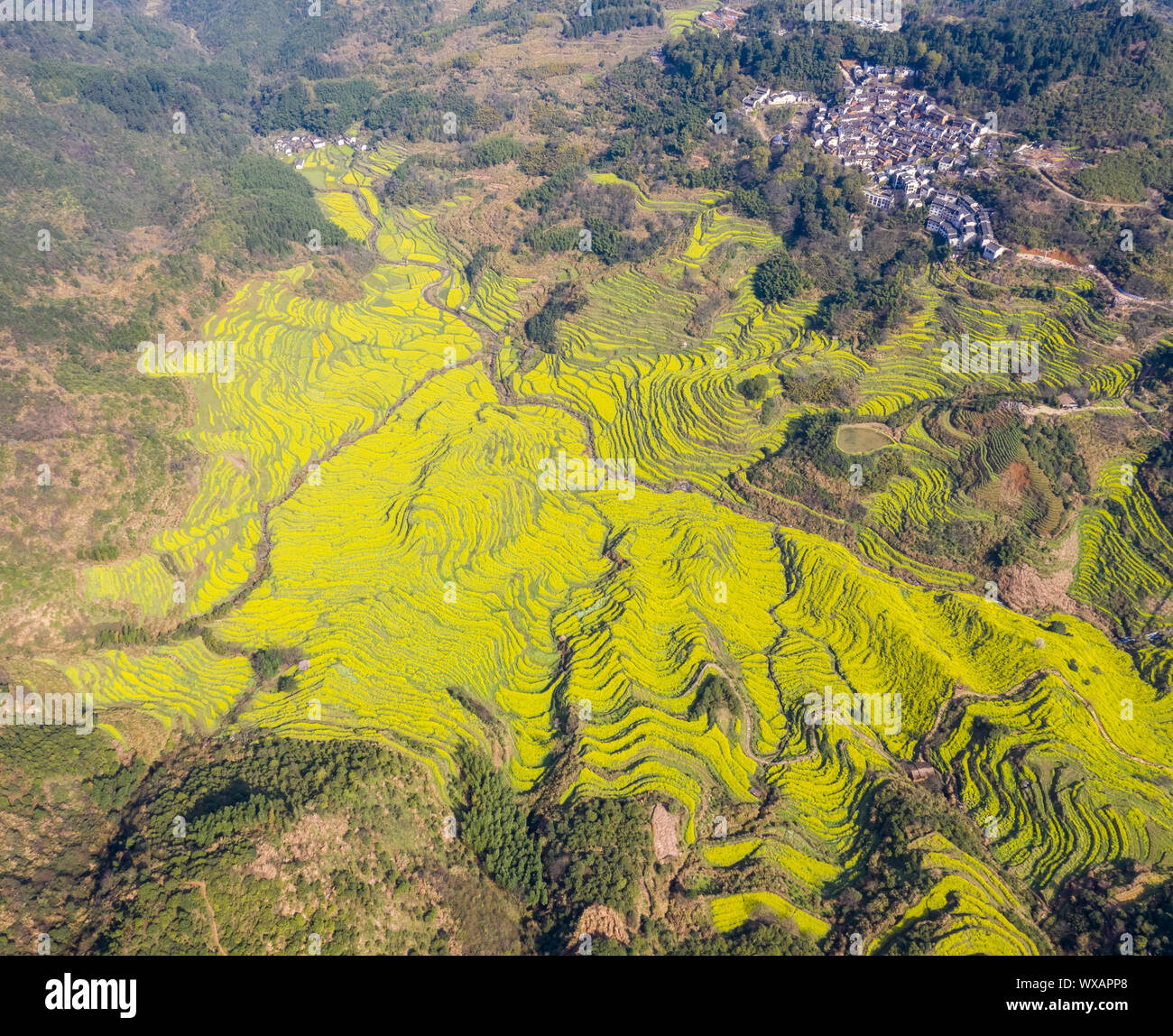 Luftaufnahme von wuyuan huangling Dorf im Frühjahr Stockfoto