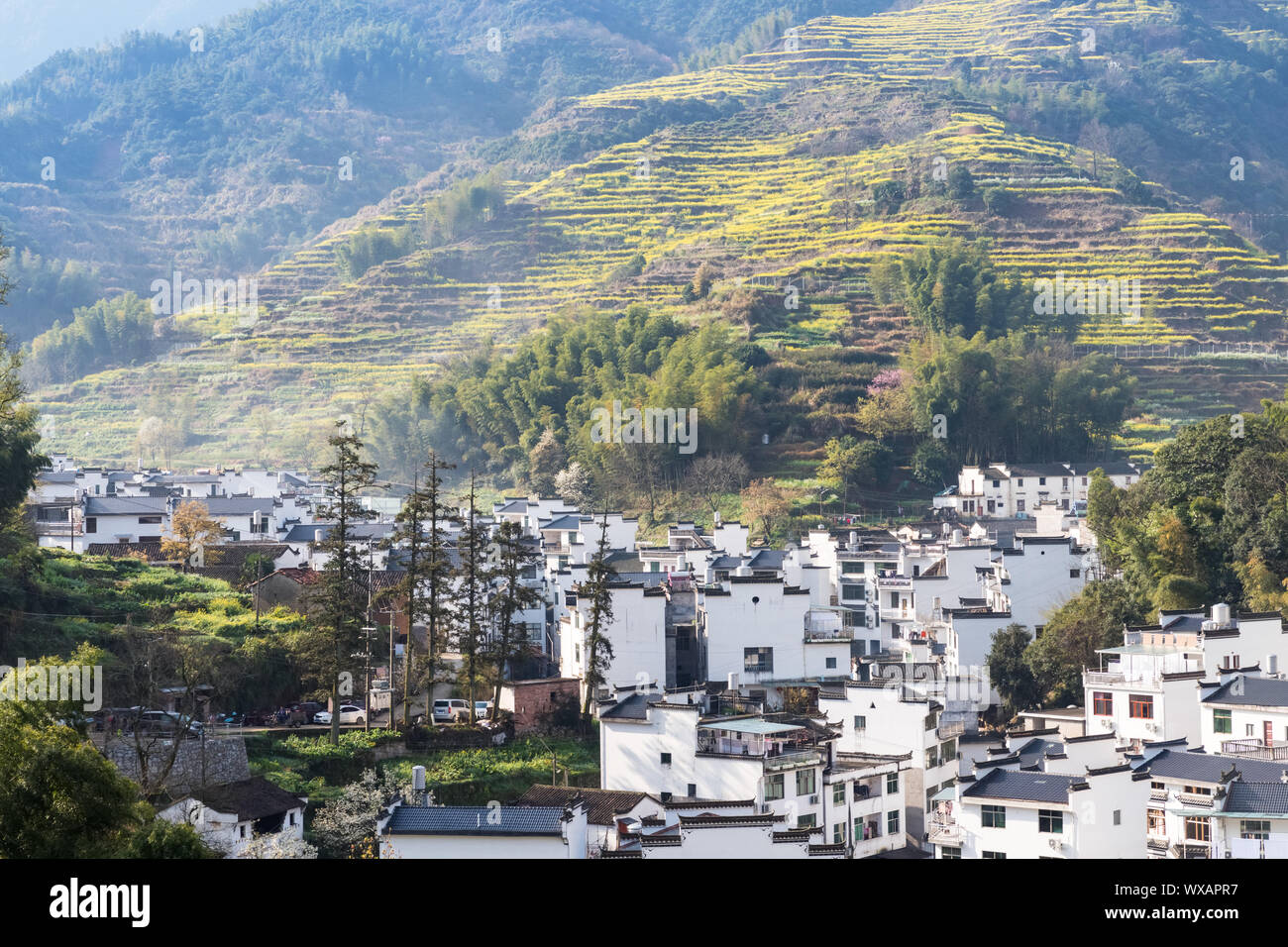 Wuyuan Bergdorf im Frühjahr Stockfoto